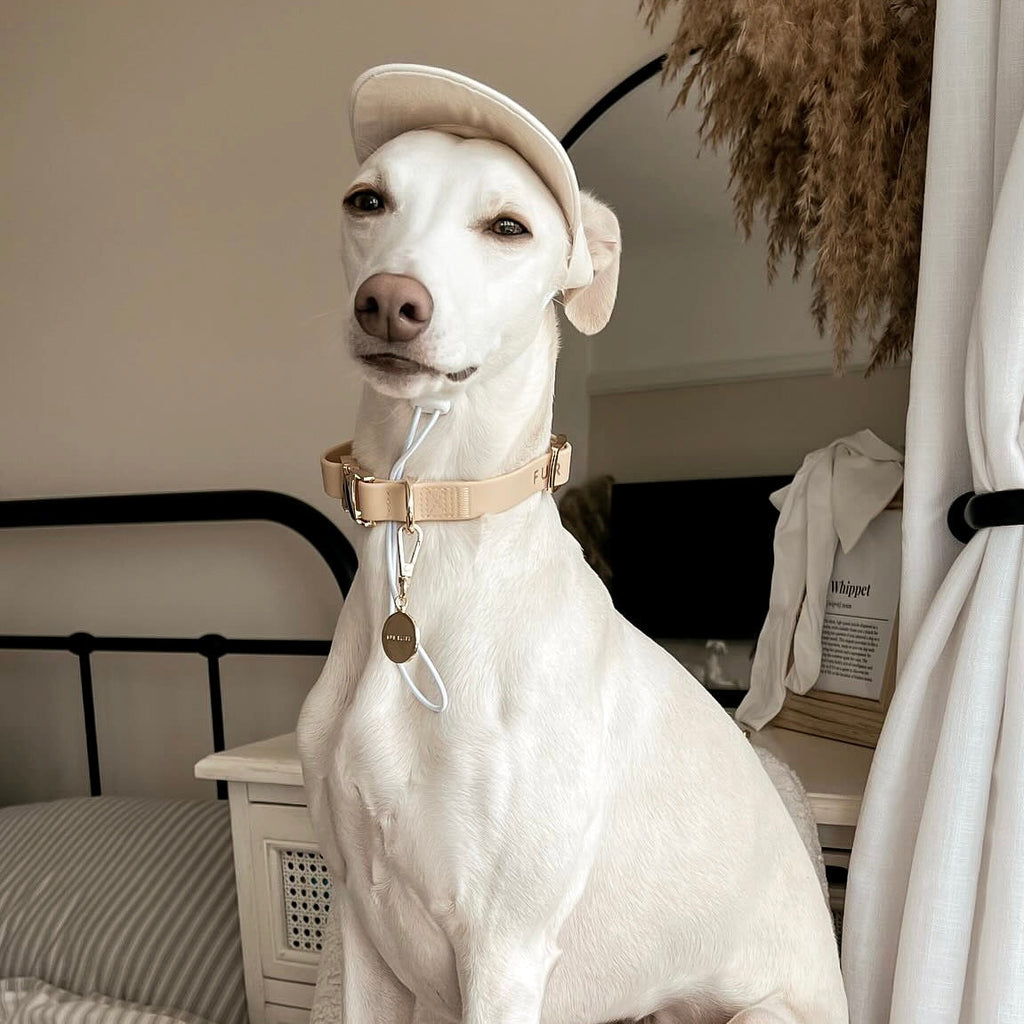 Fur Elise The Ultimate Walk Set - Sand