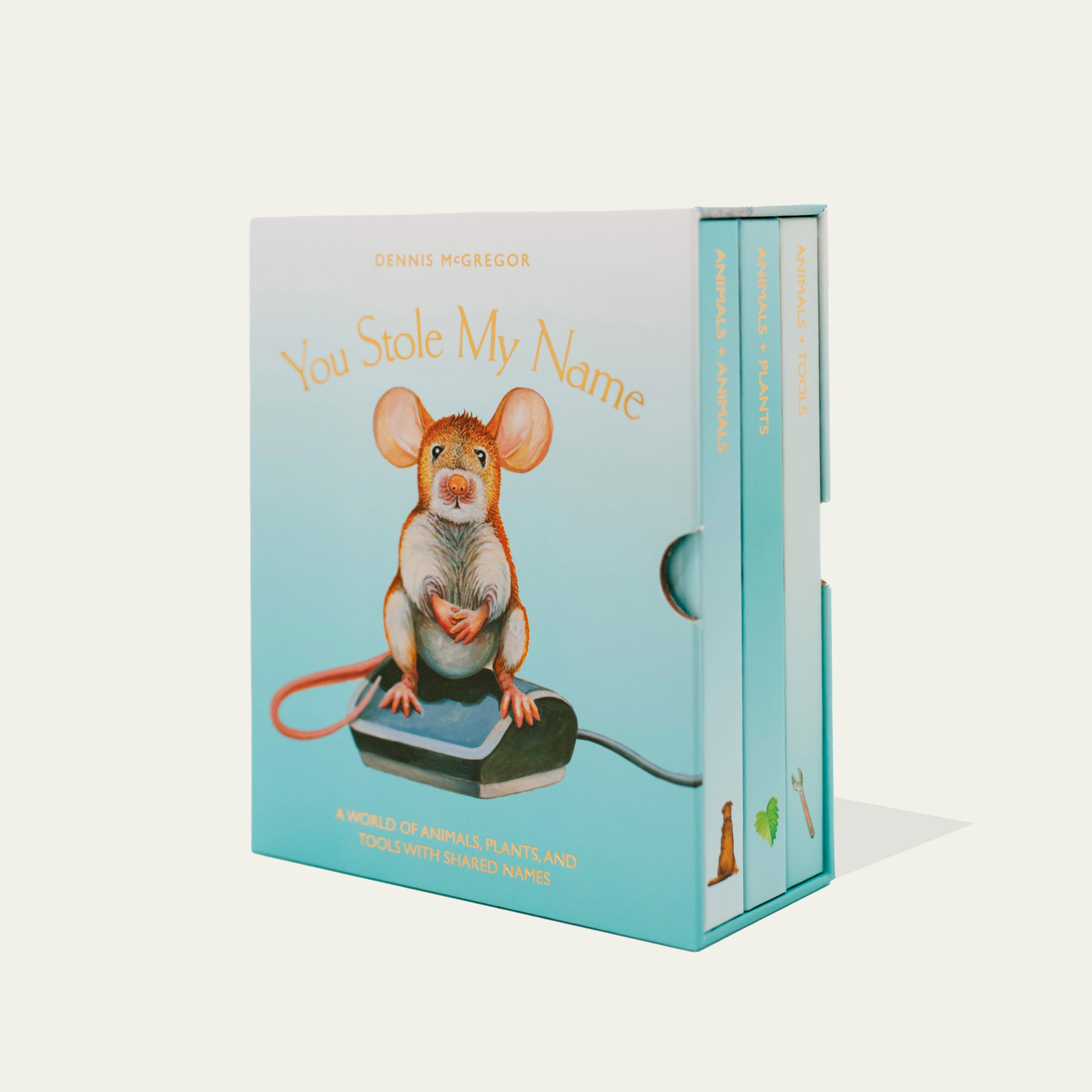 Book titled 'You Stole My Name' with a mouse illustration on a light blue background