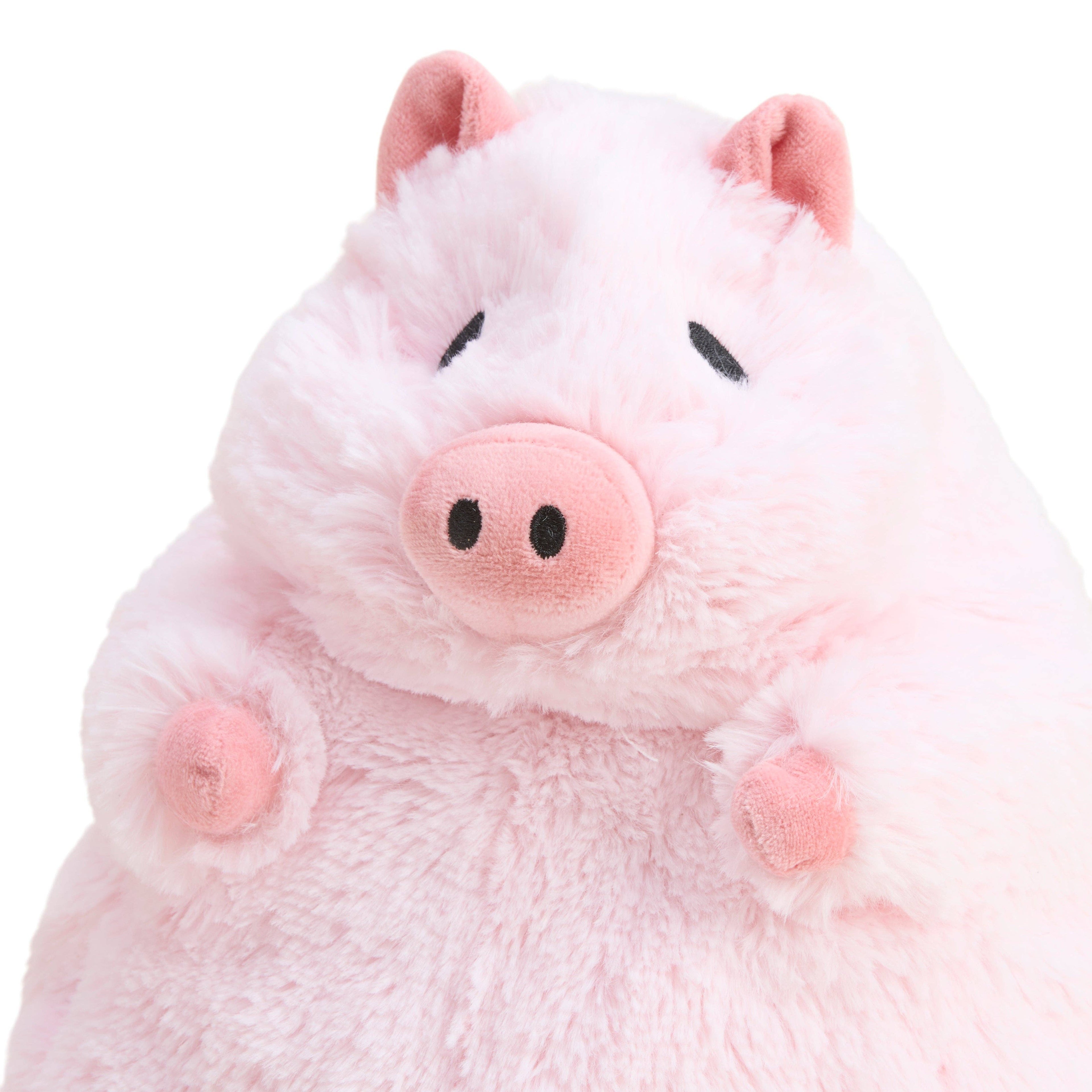 PROSPERITY PIG WARMIE