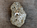 Moonbeam Necklace - ( Multiple Colors Available )  As Seen On Chambers