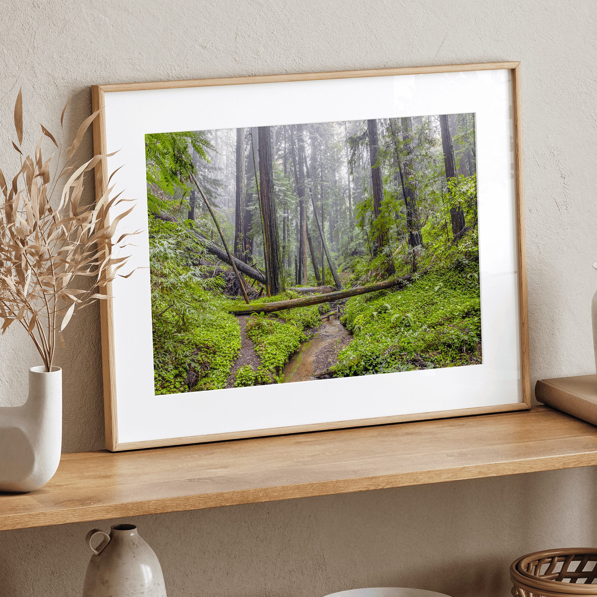 Redwoods Sanctuary
