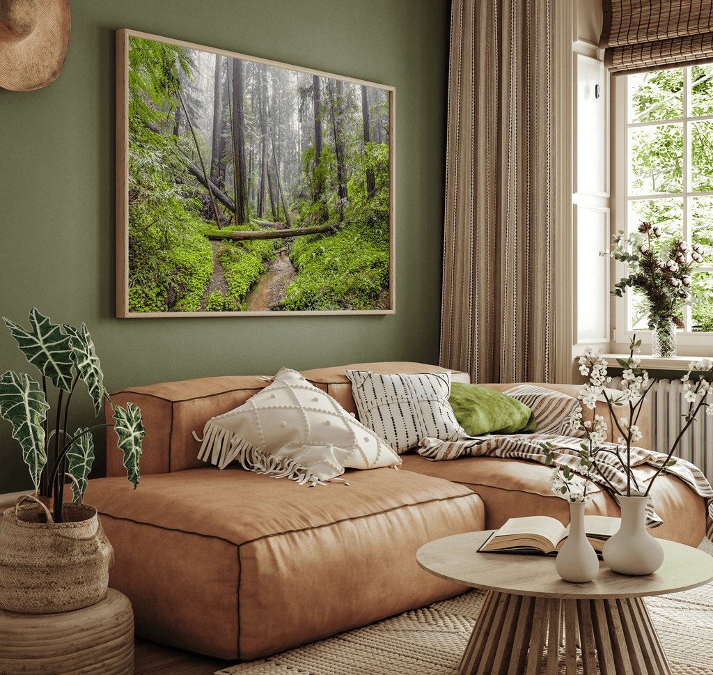 Redwoods Sanctuary