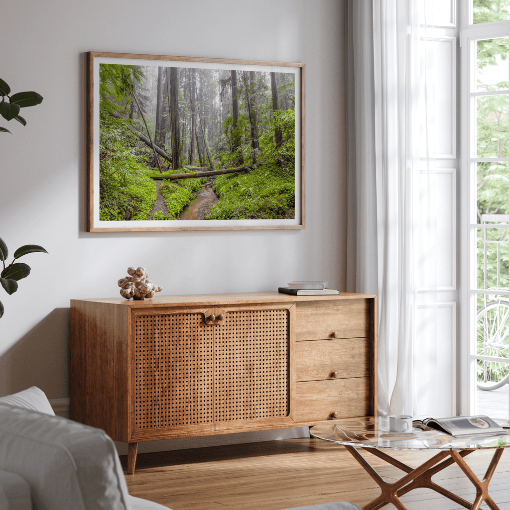 Redwoods Sanctuary