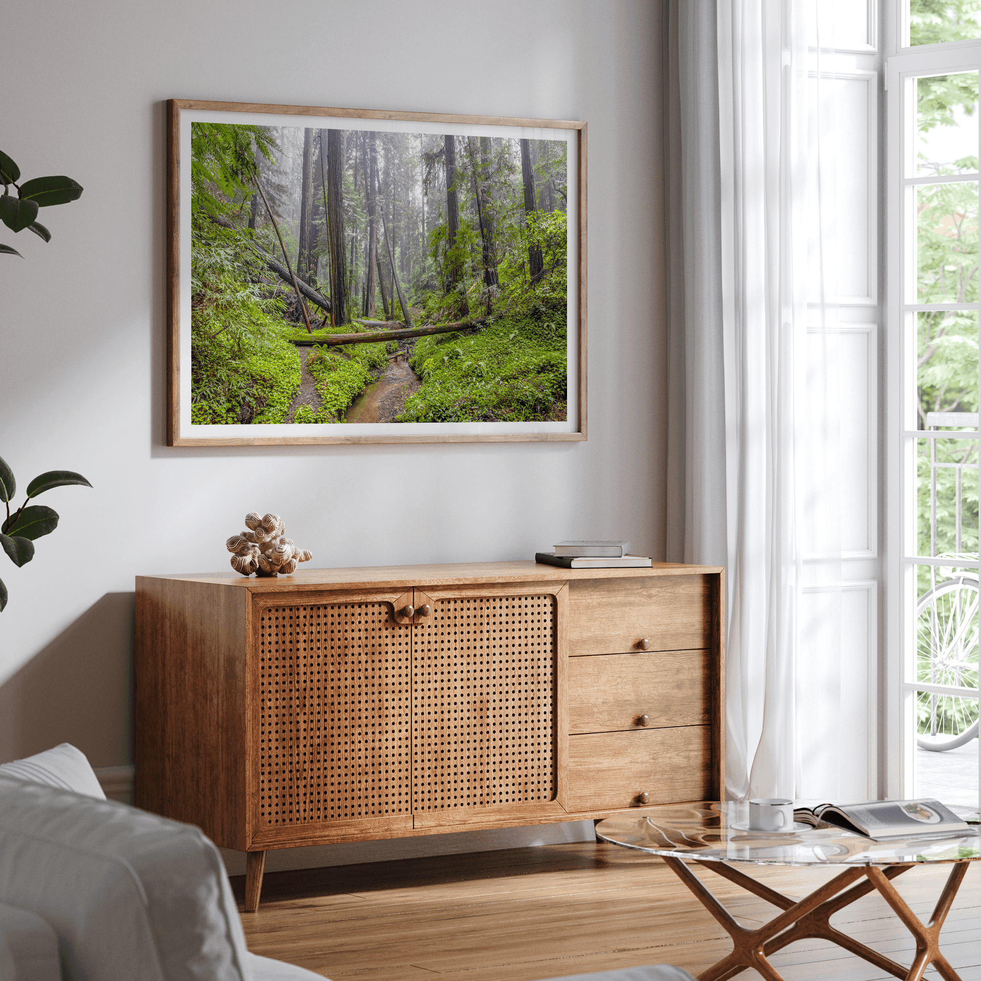 Redwoods Sanctuary