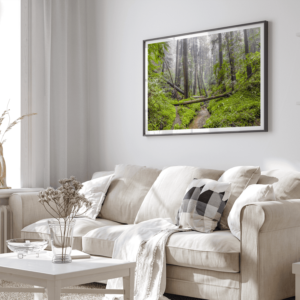 Redwoods Sanctuary