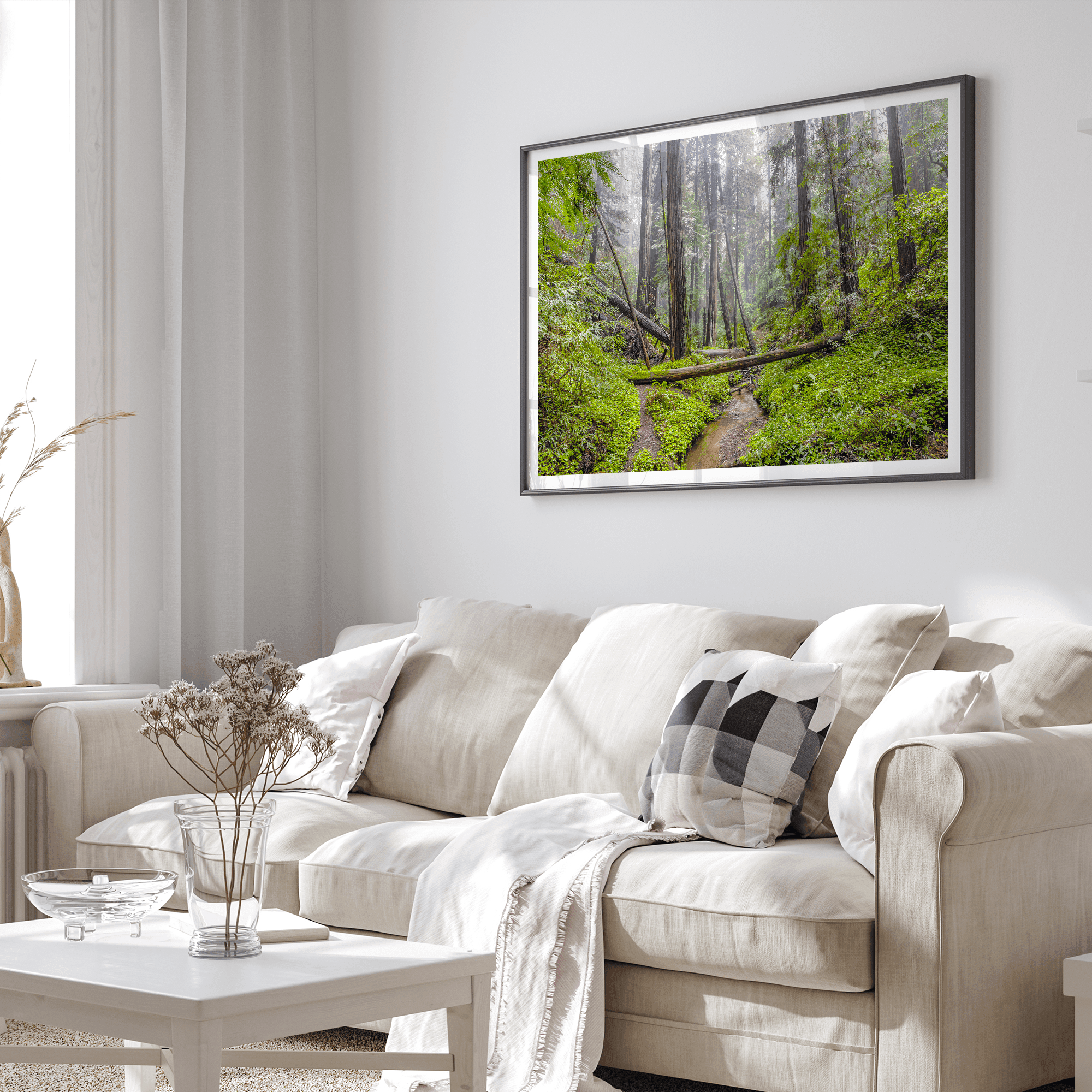 Redwoods Sanctuary