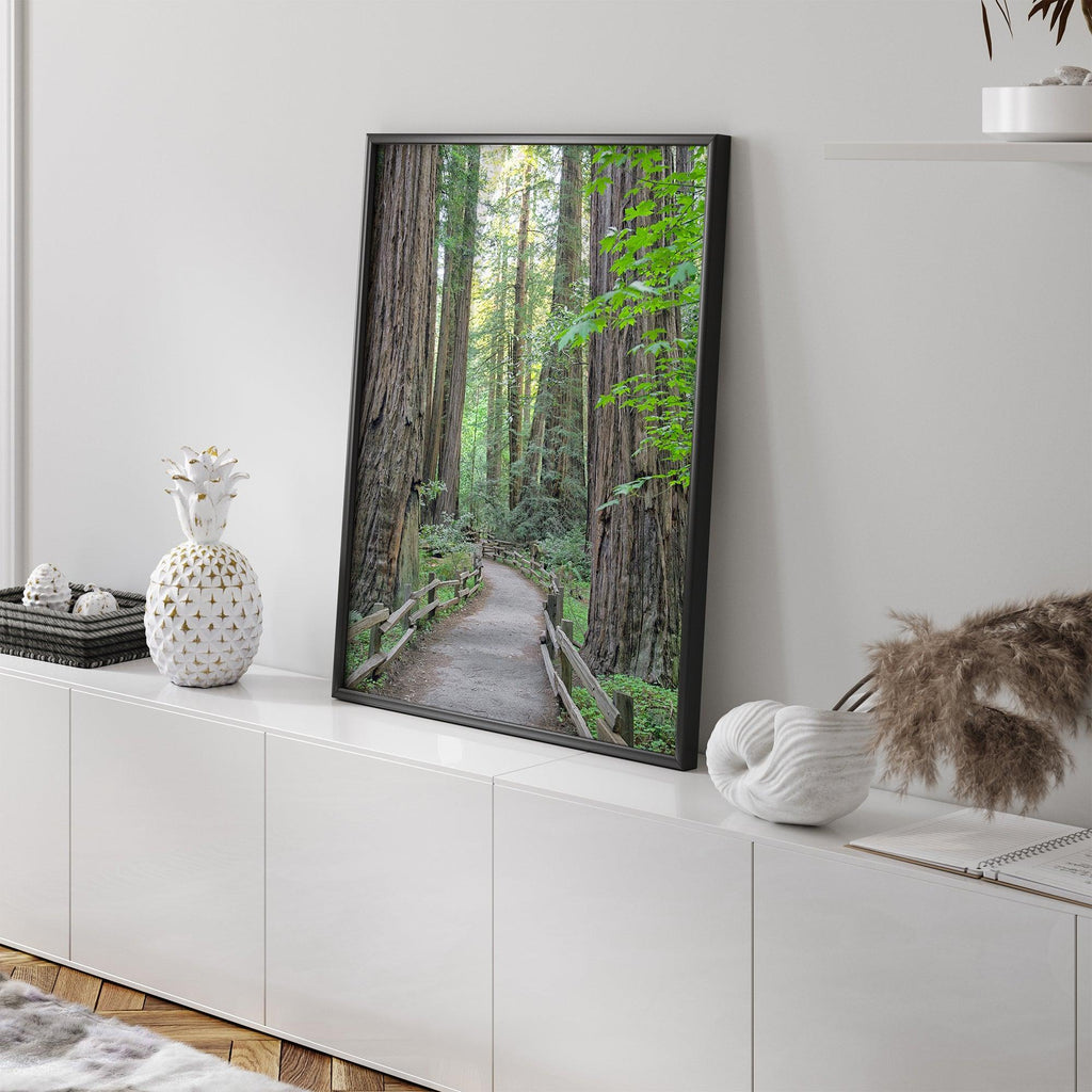 Redwoods