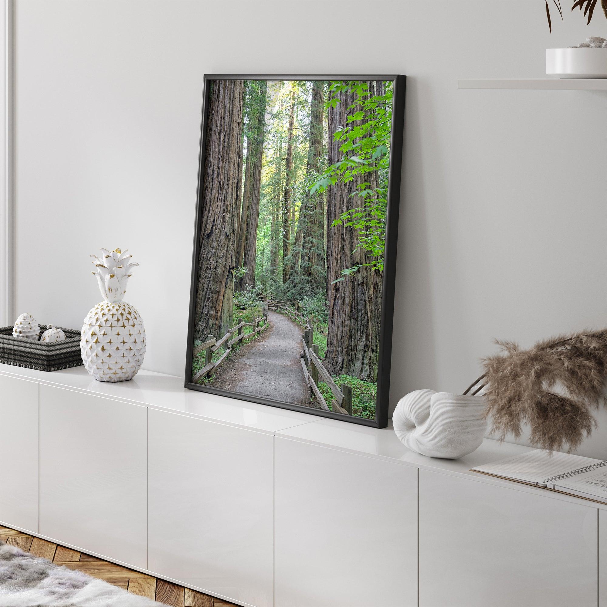 Redwoods