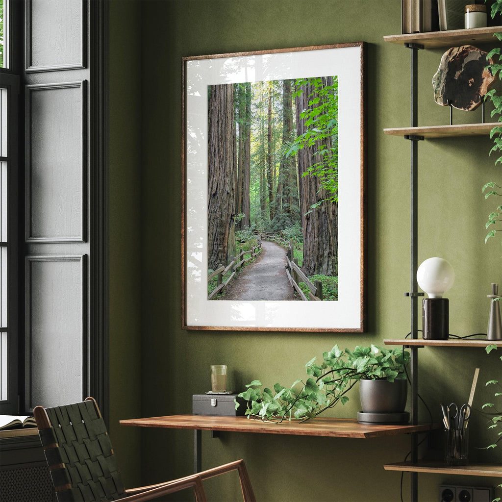 Redwoods
