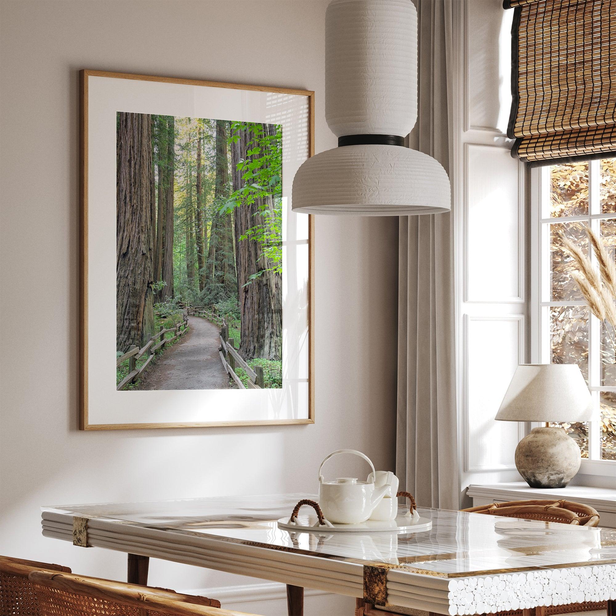 Redwoods