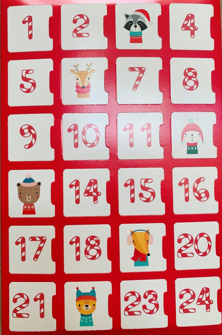 Abundance & Success Crystal Lover's Advent Calendar