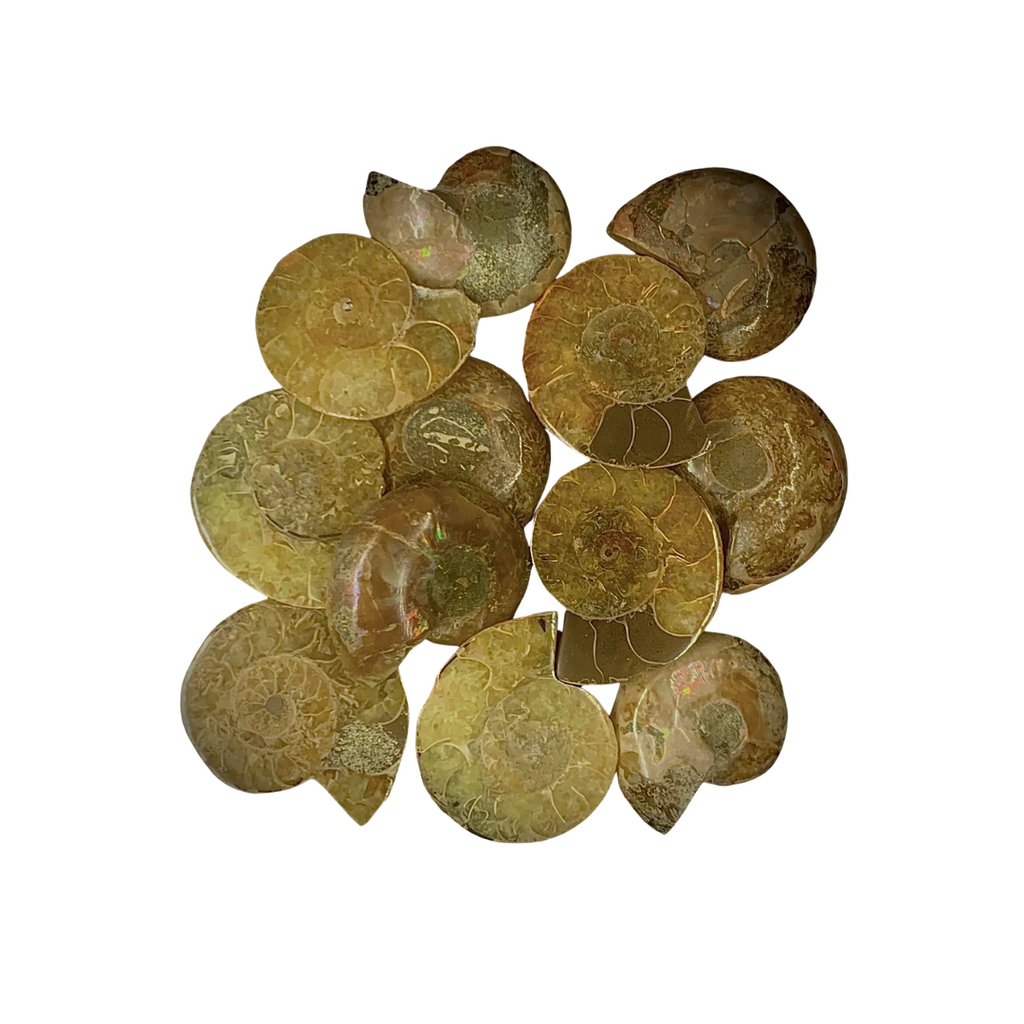 Abundance & Success Crystal Lover's Advent Calendar
