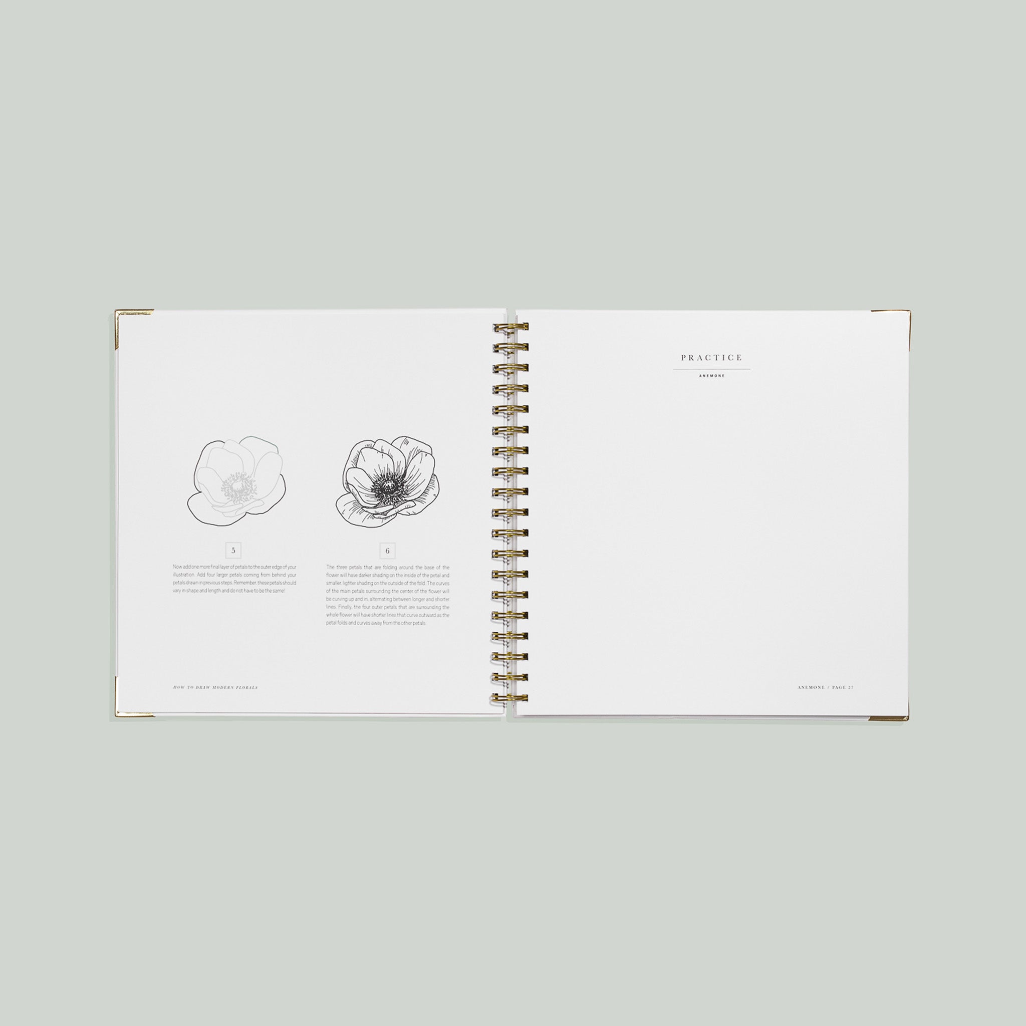 How to Draw Modern Florals
