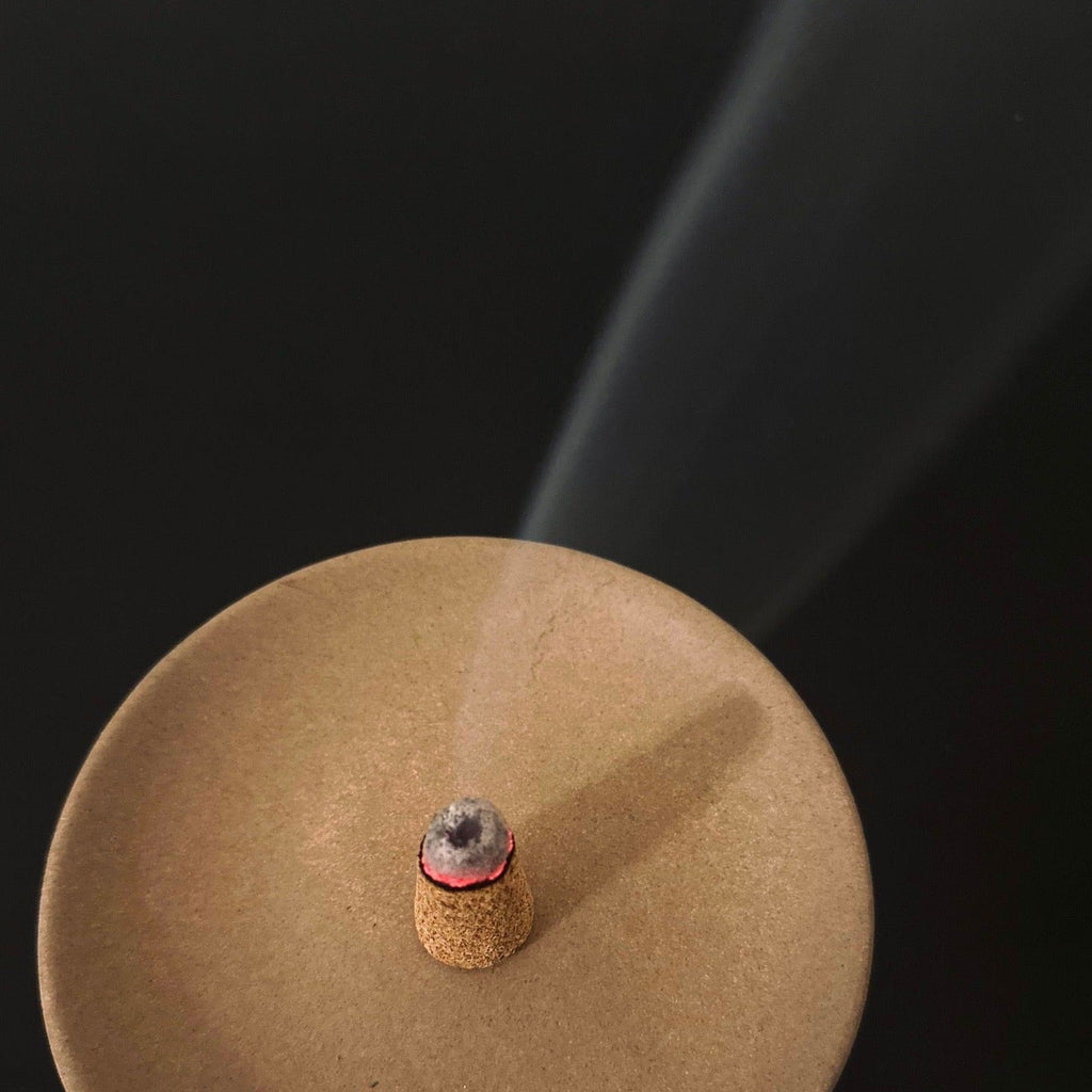 Slow North Palo Santo Incense Cones
