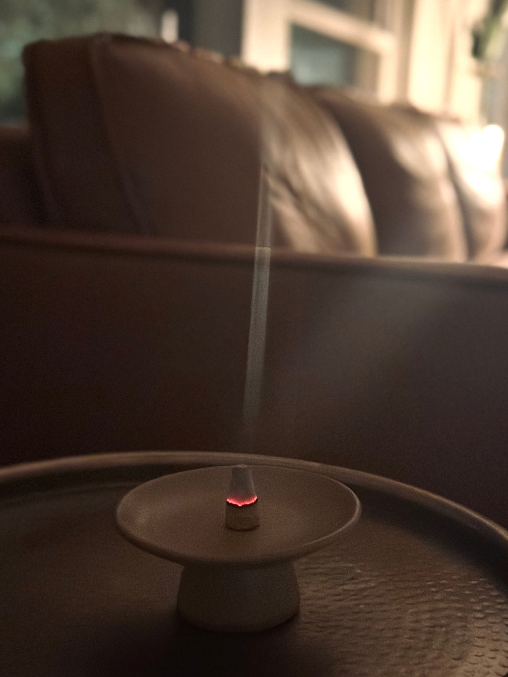 Slow North Palo Santo Incense Cones