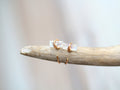 Saressa Designs Moonstone Hug Hoops