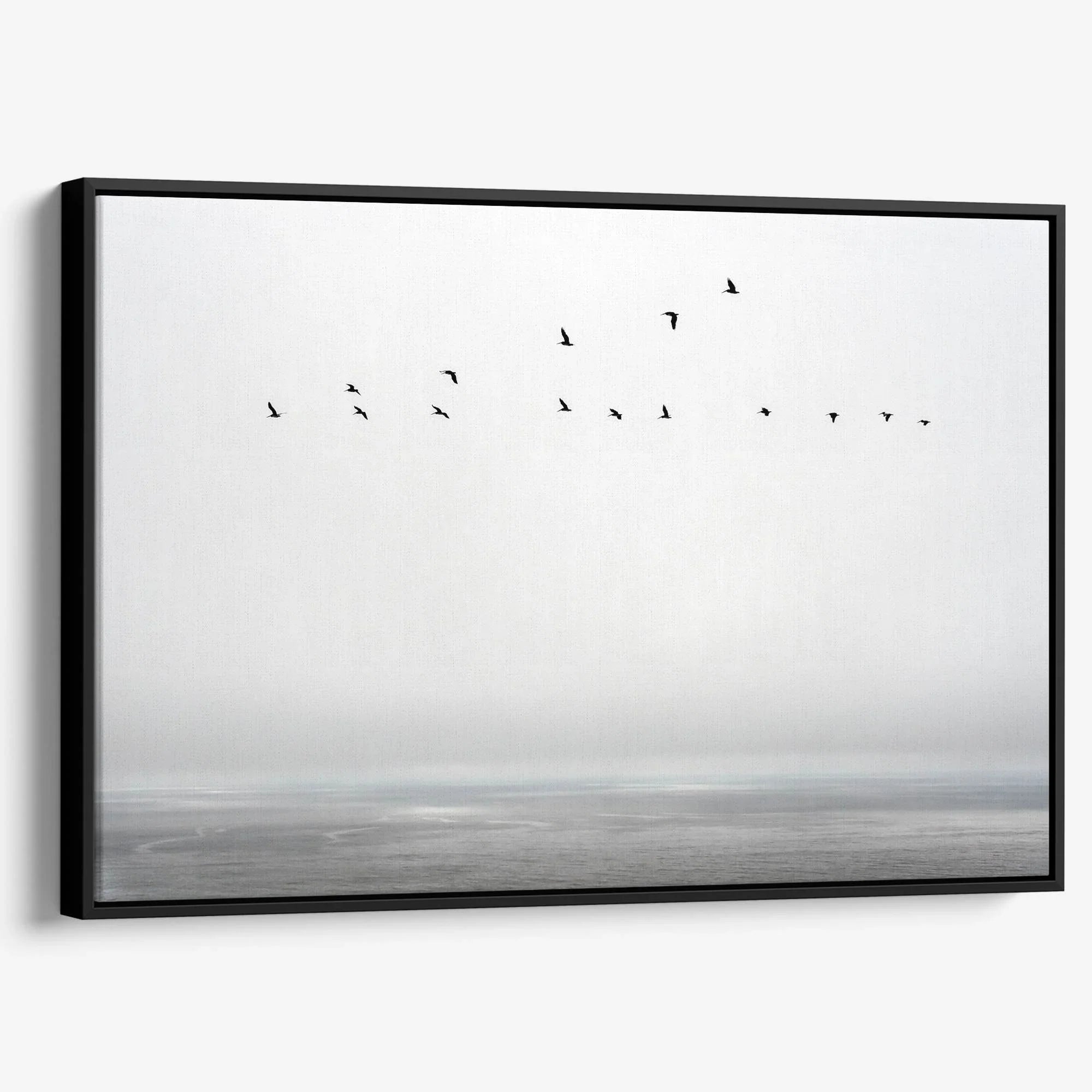 Pacific Flight Canvas
