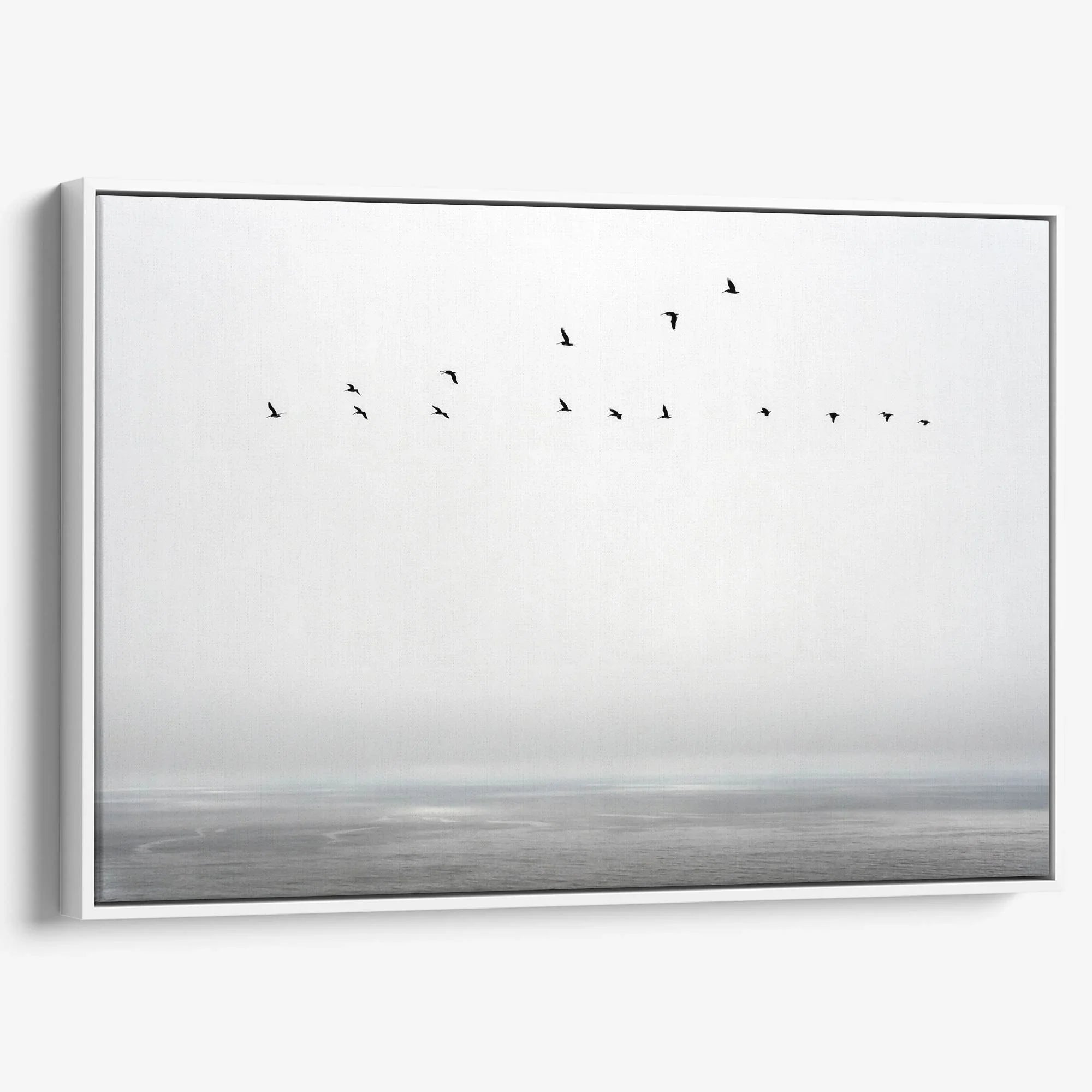 Pacific Flight Canvas