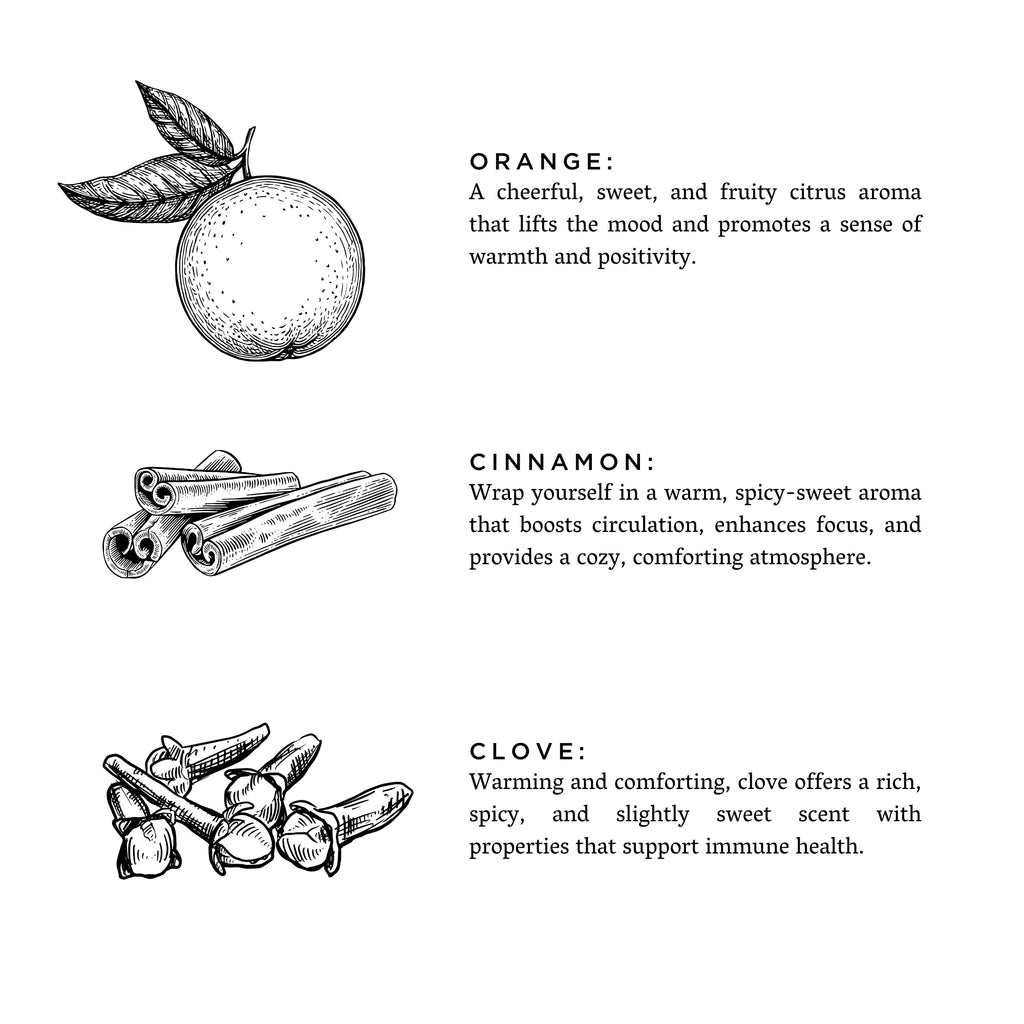 Slow North Orange + Clove - Signature 3-Wick Candle