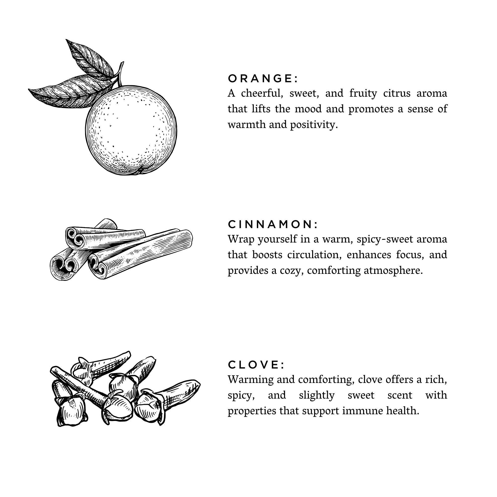 Slow North Orange + Clove - Signature 3-Wick Candle