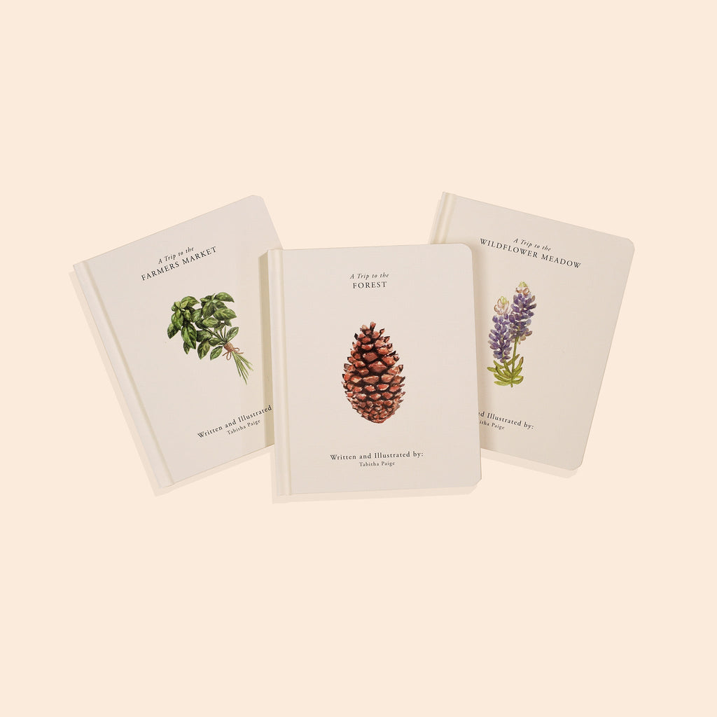 Our Little Adventures Nature Board Book Box Set