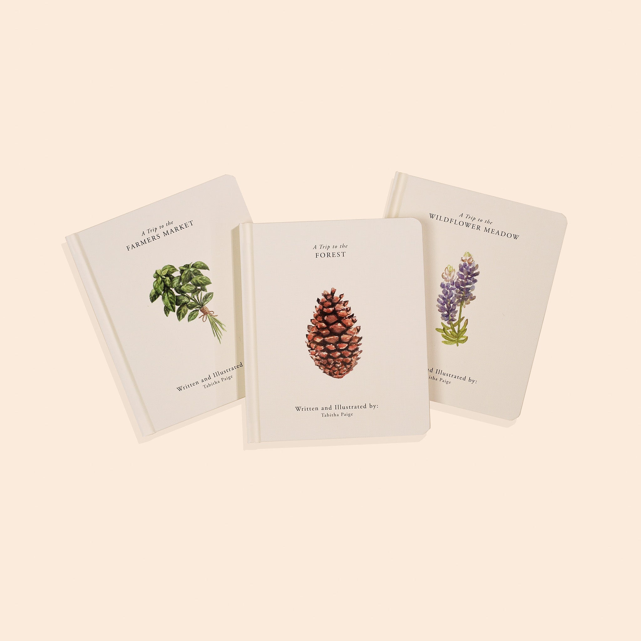 Our Little Adventures Nature Board Book Box Set
