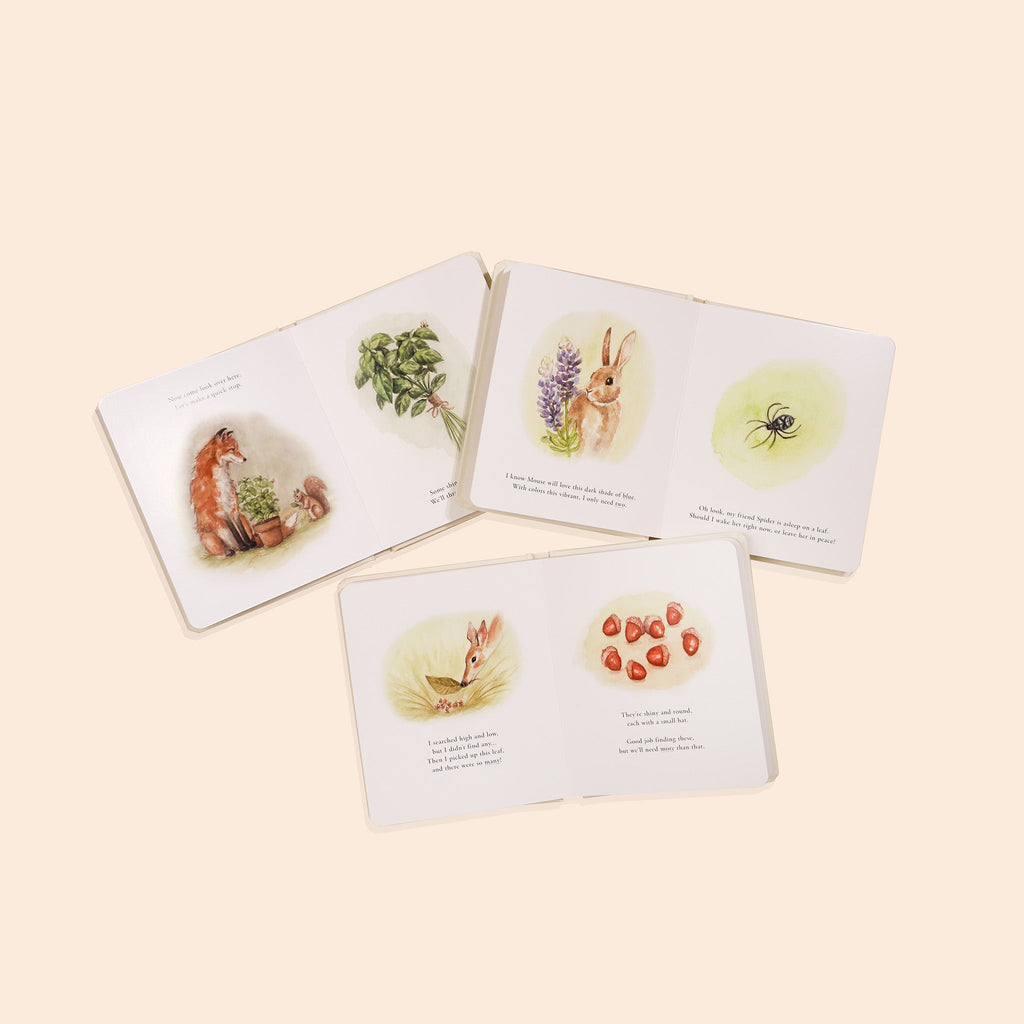 Our Little Adventures Nature Board Book Box Set