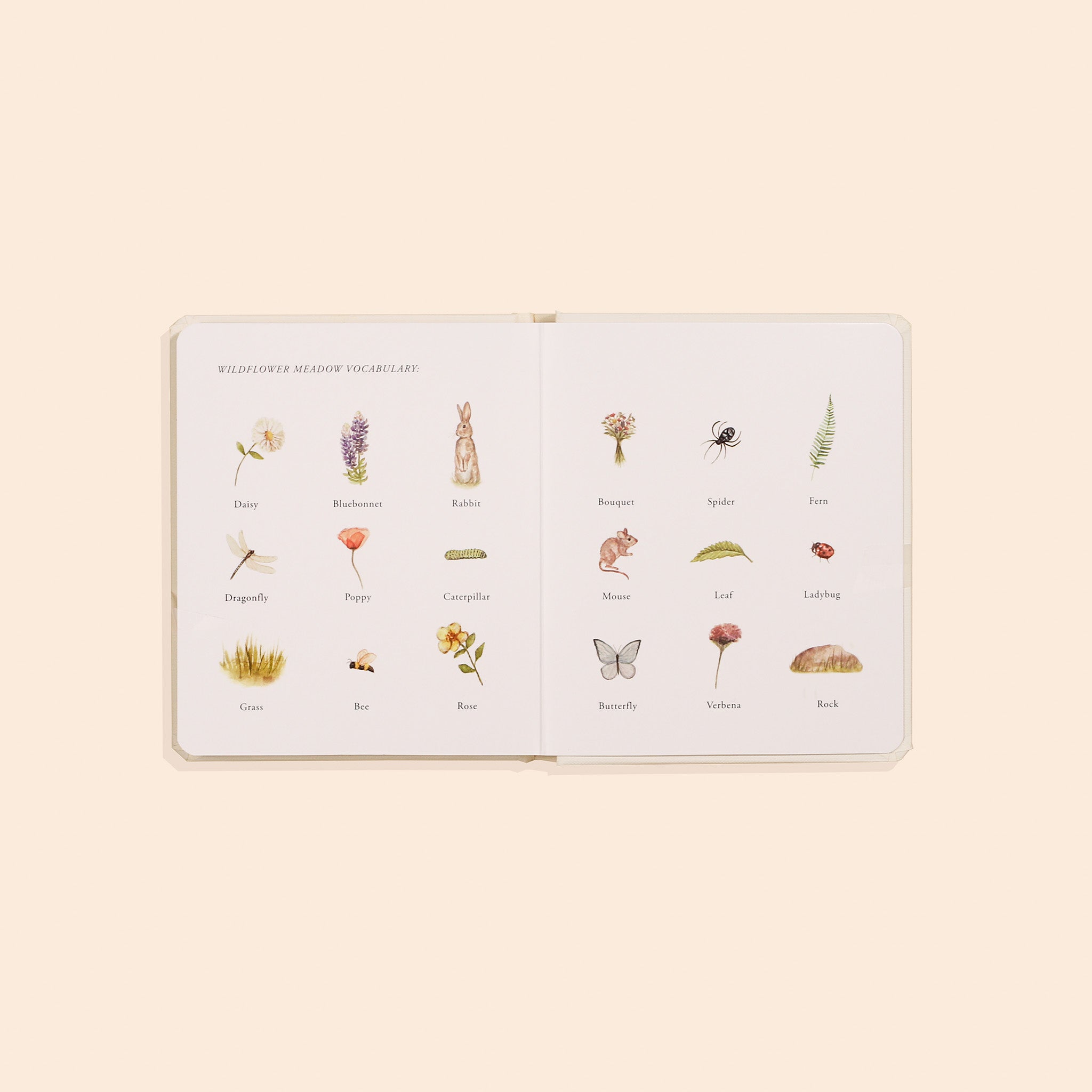 Our Little Adventures Nature Board Book Box Set