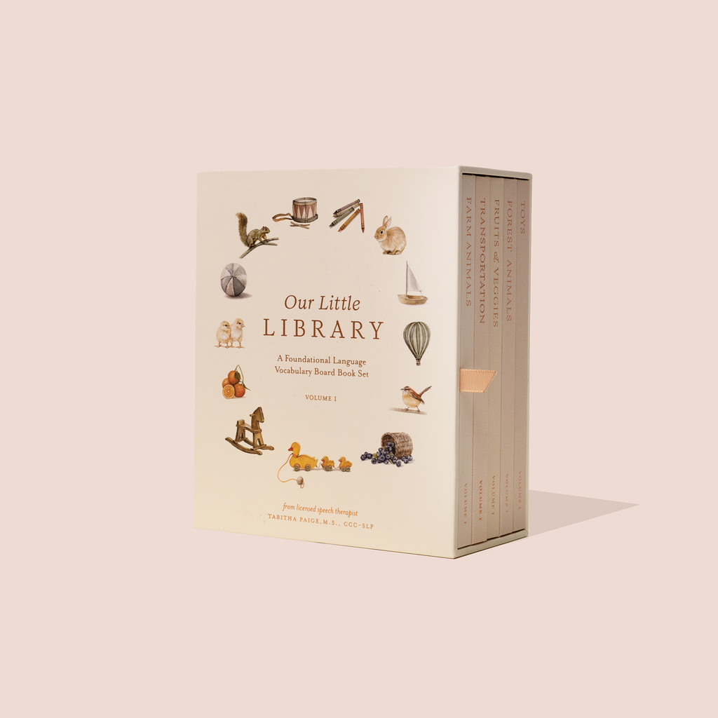 Our Little Library Volume 3: A Traditional Language Vocabulary Book Set by Tapti Puri & Ravi Kulkarni, shown in its cream-colored slipcase box with small illustrated objects around the title, on a solid pale pink background.