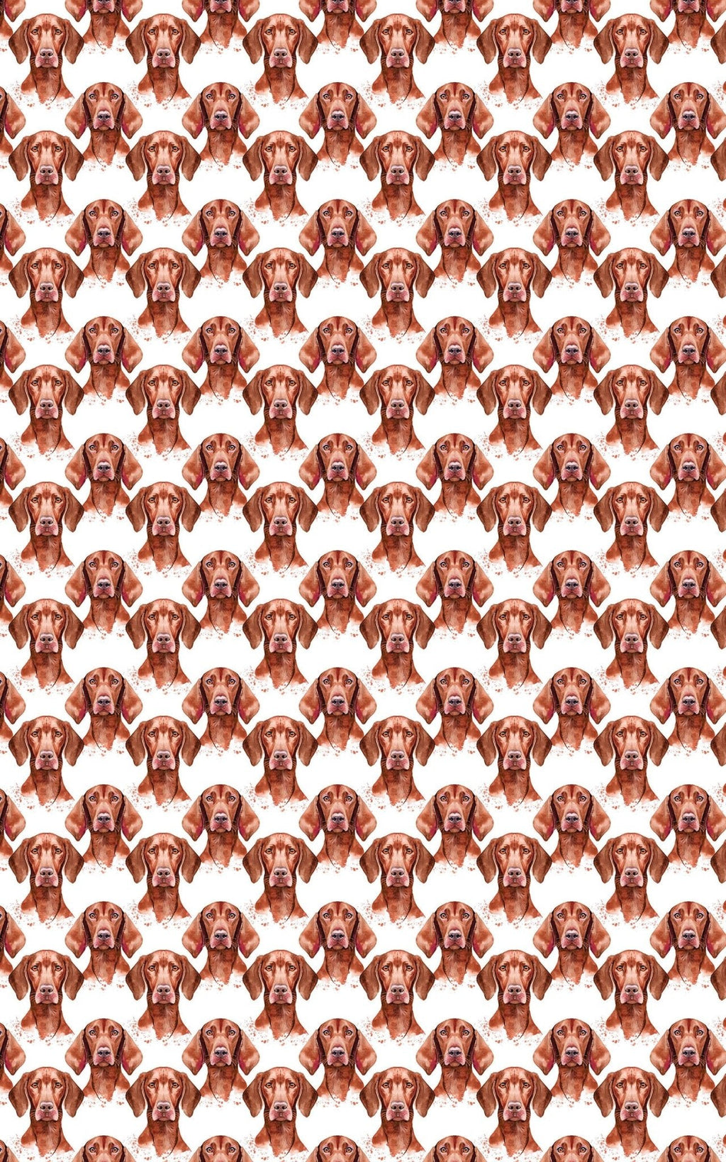 Velvet Vizsla