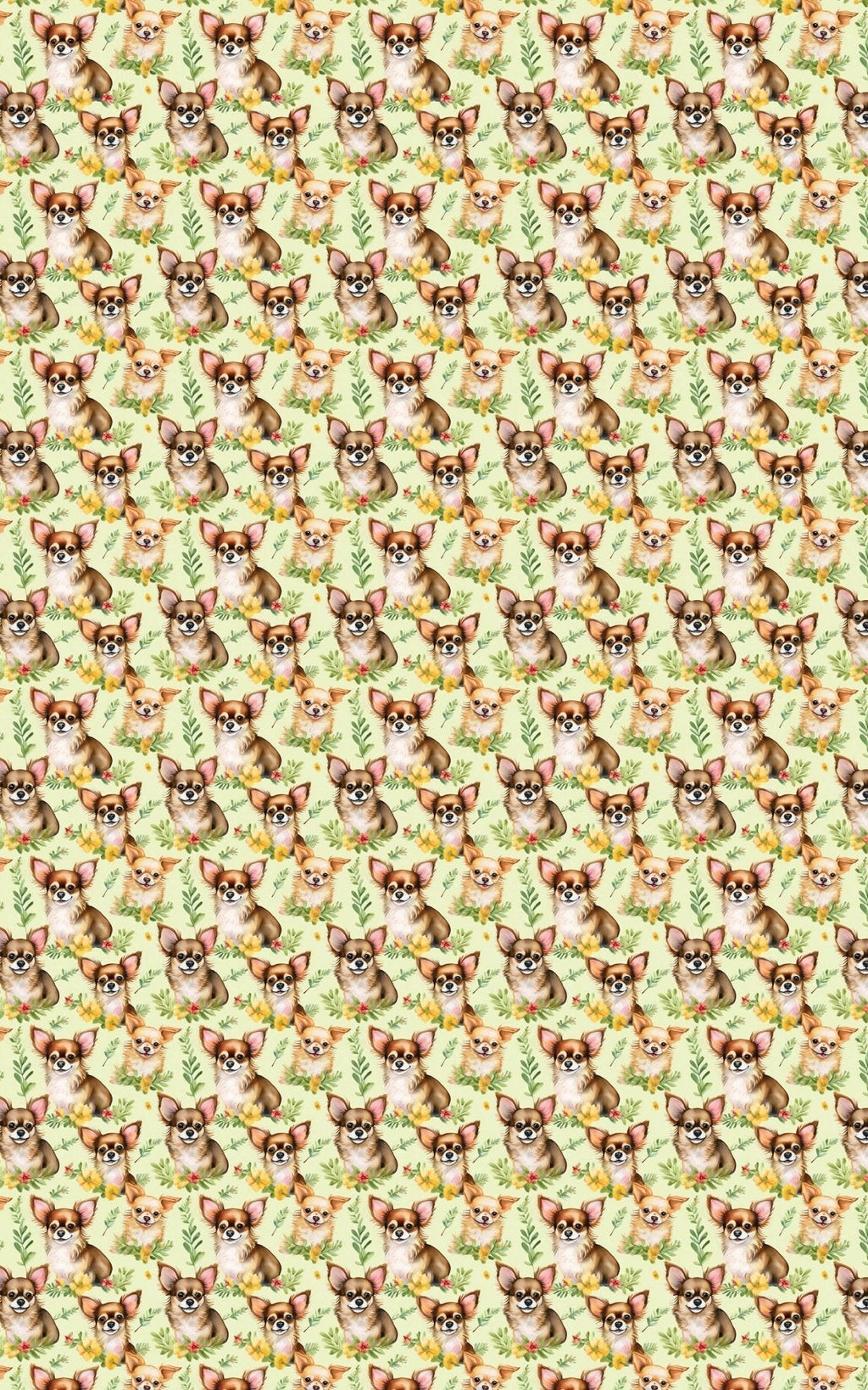 Chihuahua Charm