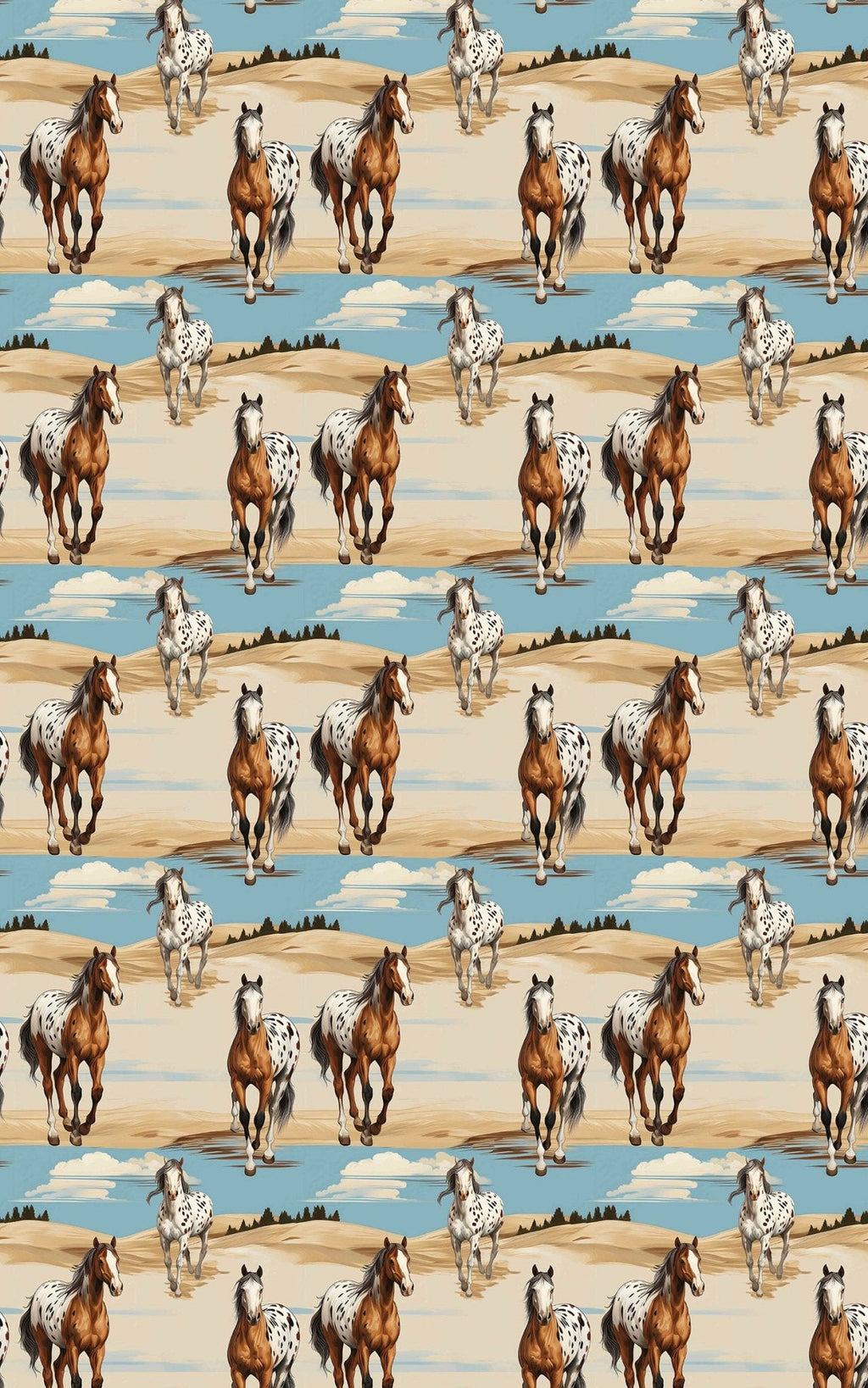 Appaloosa Run