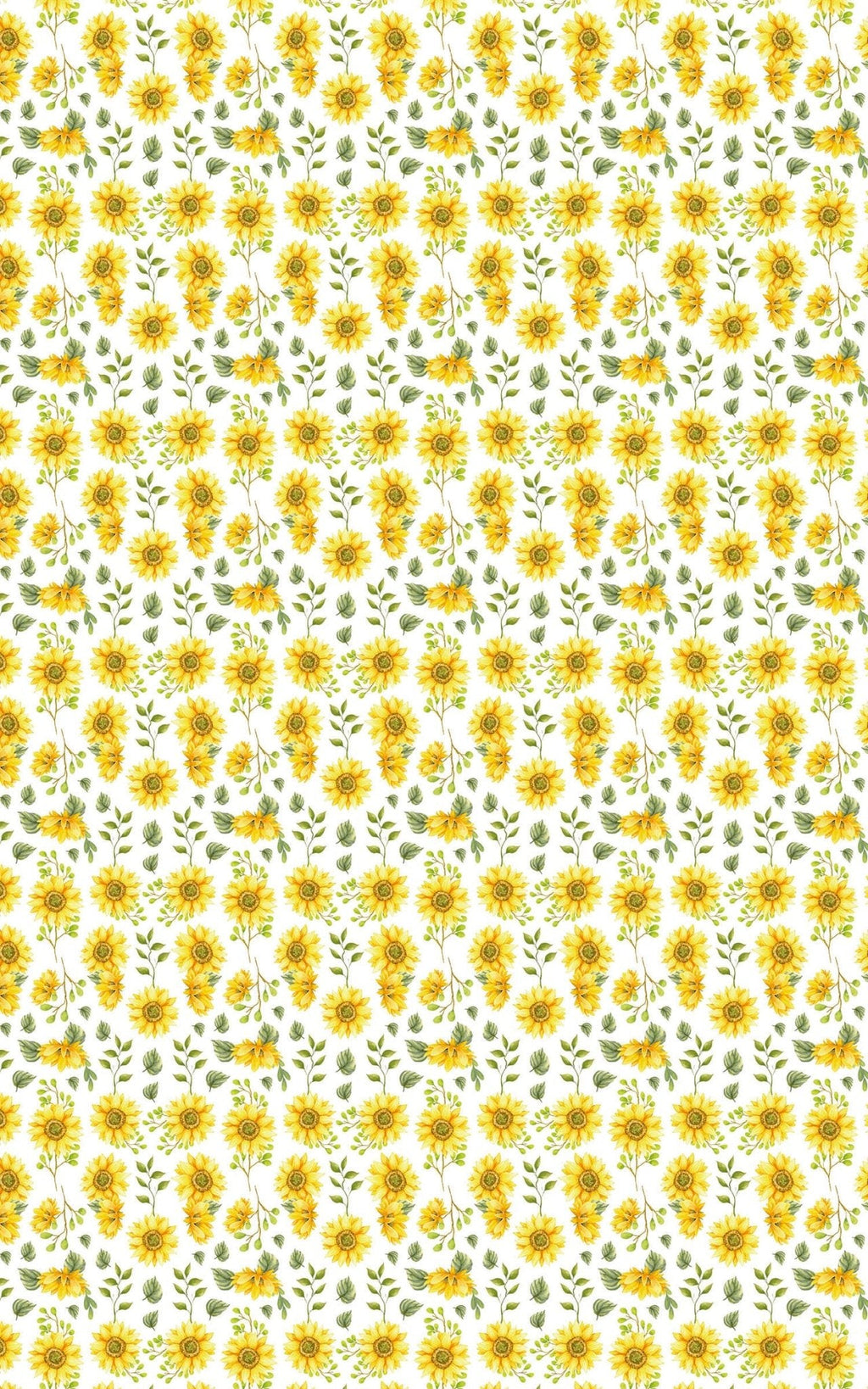 Sunflower White