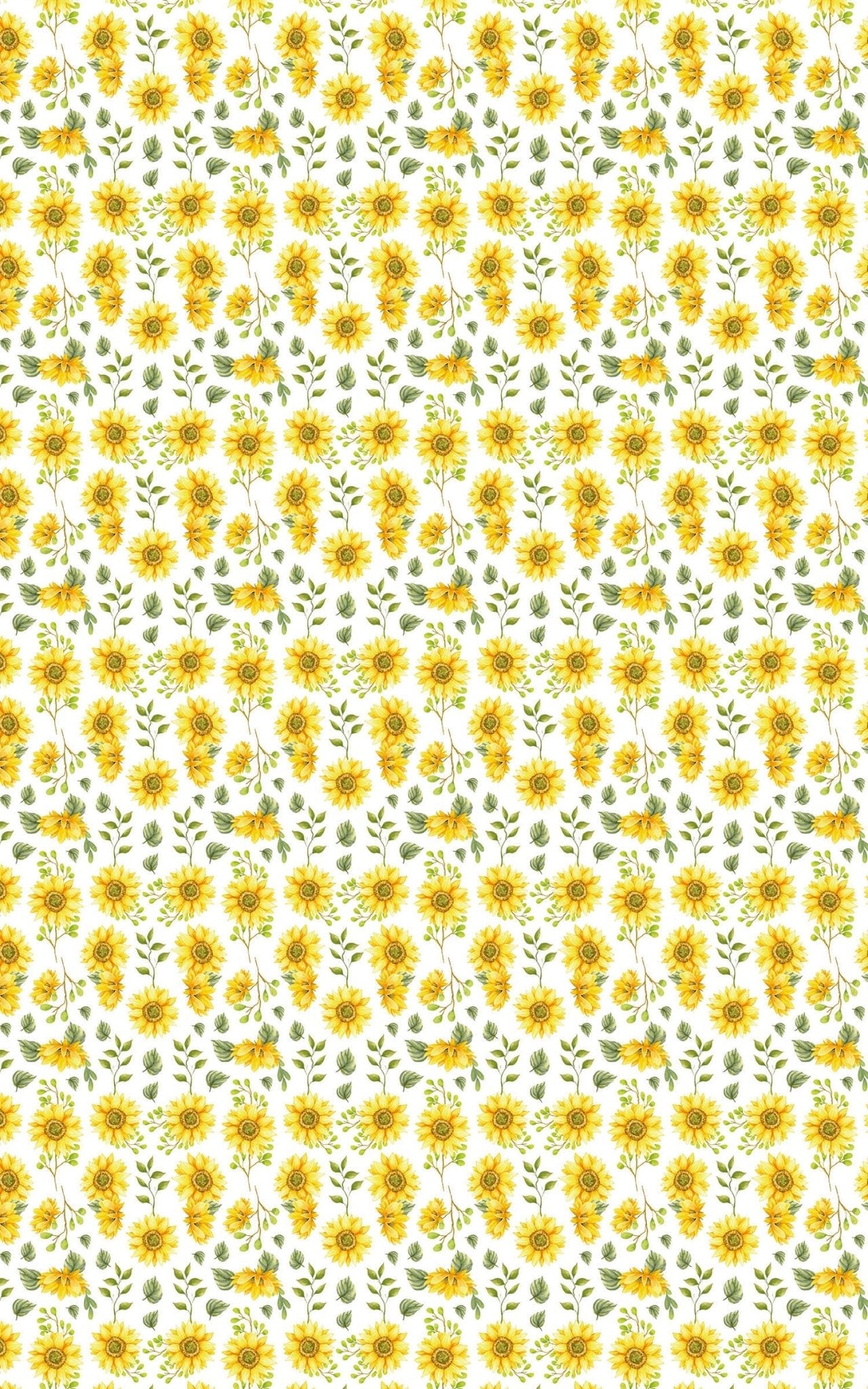 Sunflower White