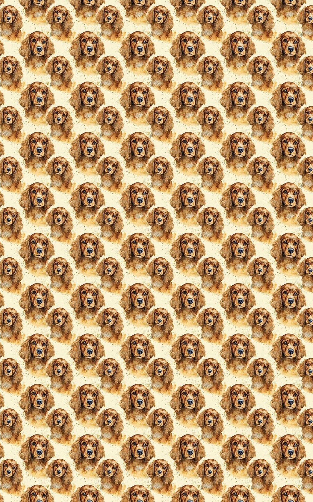 The Gentle Spaniel