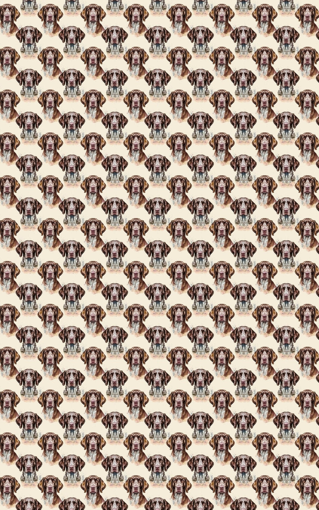 The Stylish Pointer