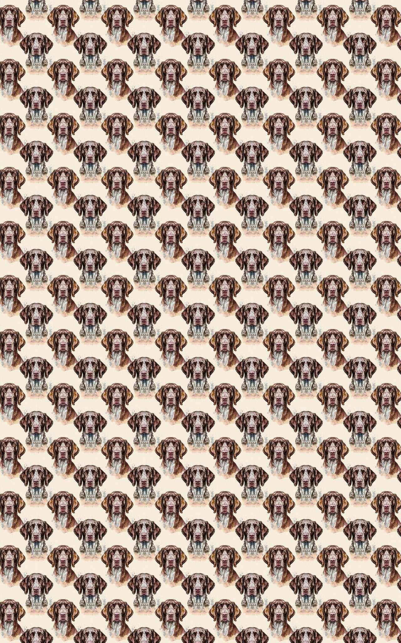 The Stylish Pointer