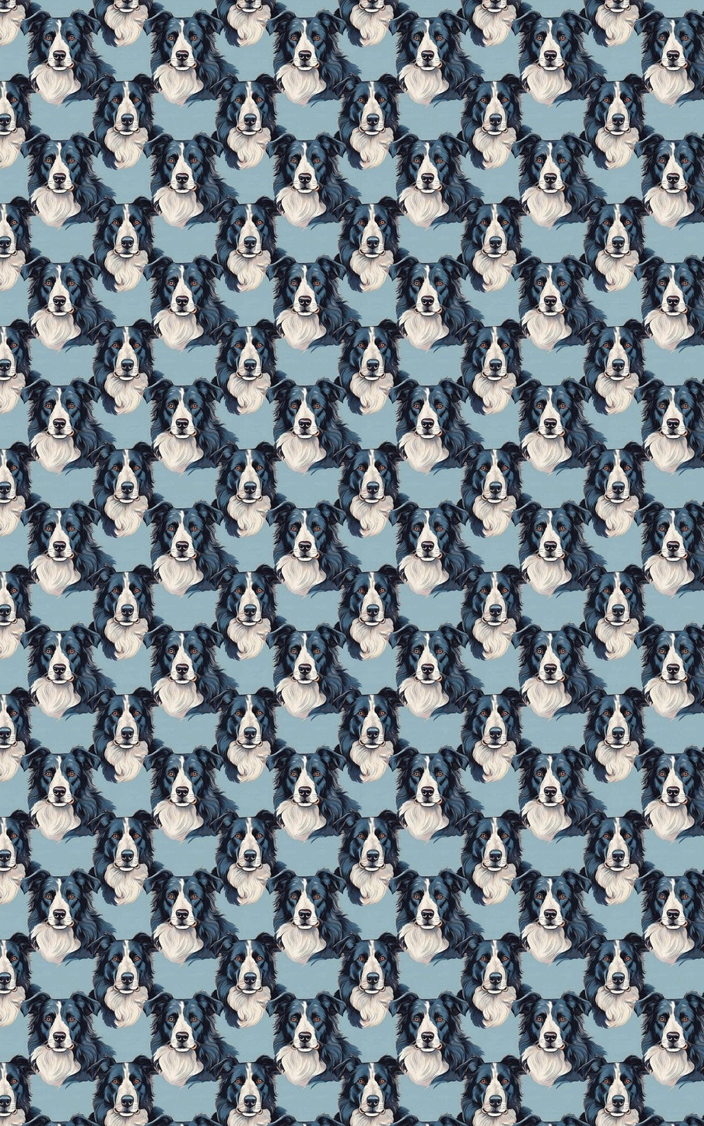 The Border Collie Look