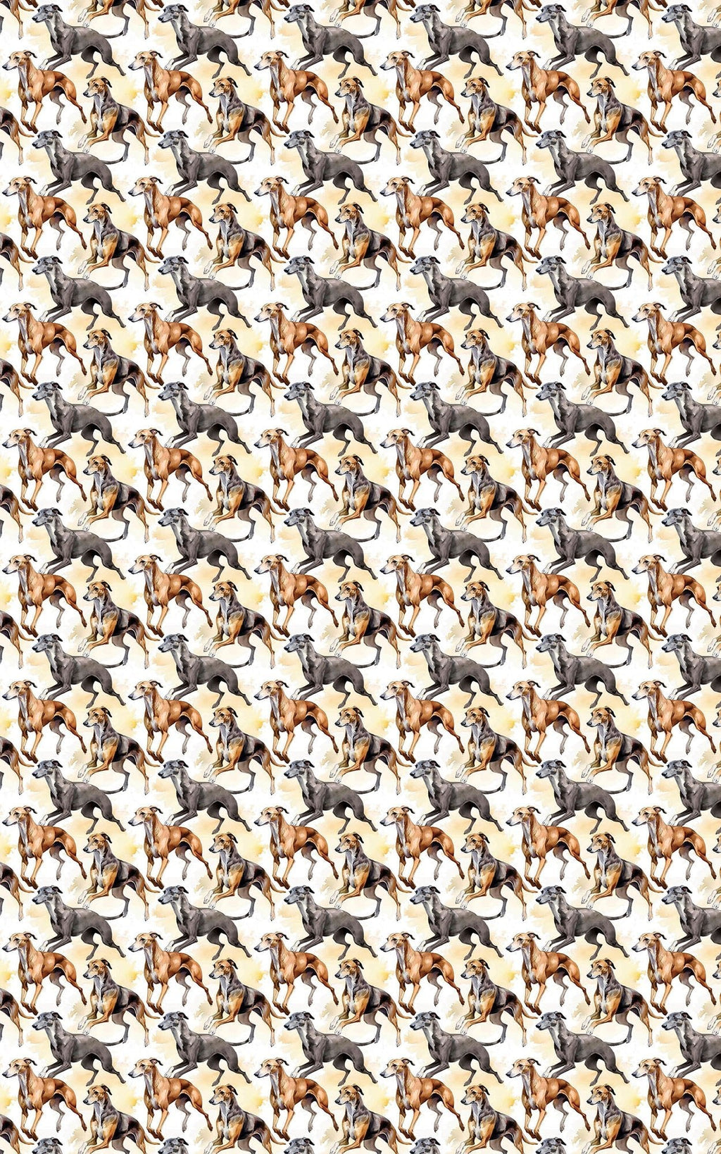 Speed & Grace – Greyhound