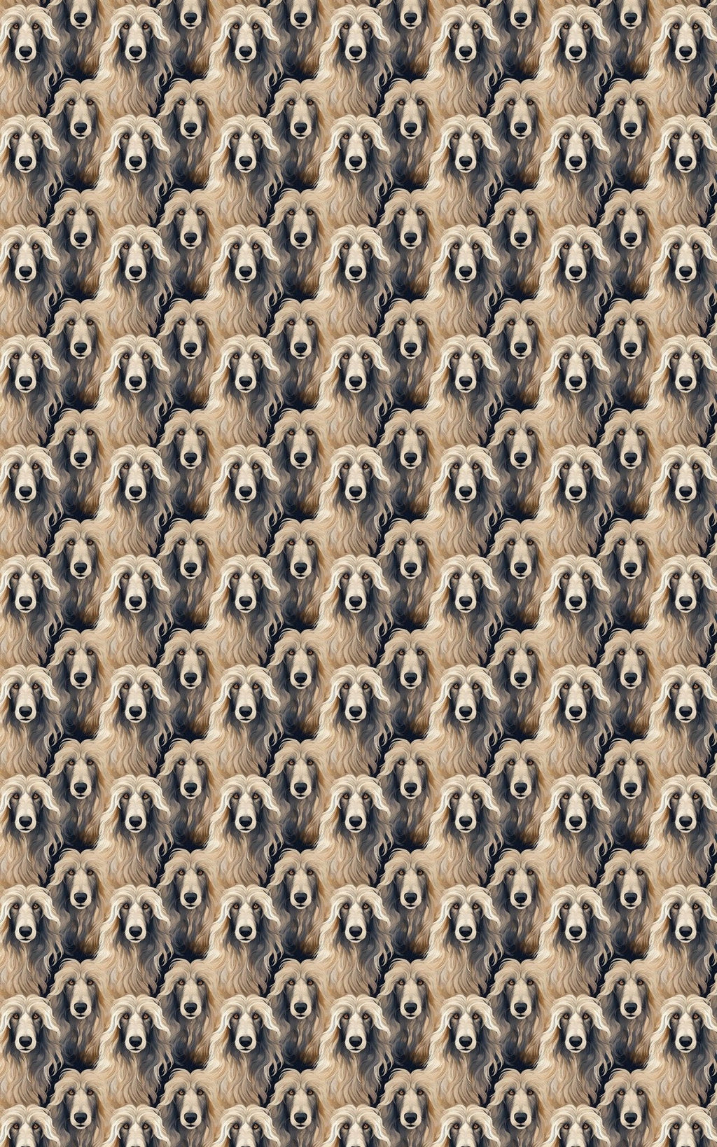 Afghan Hound Serenity