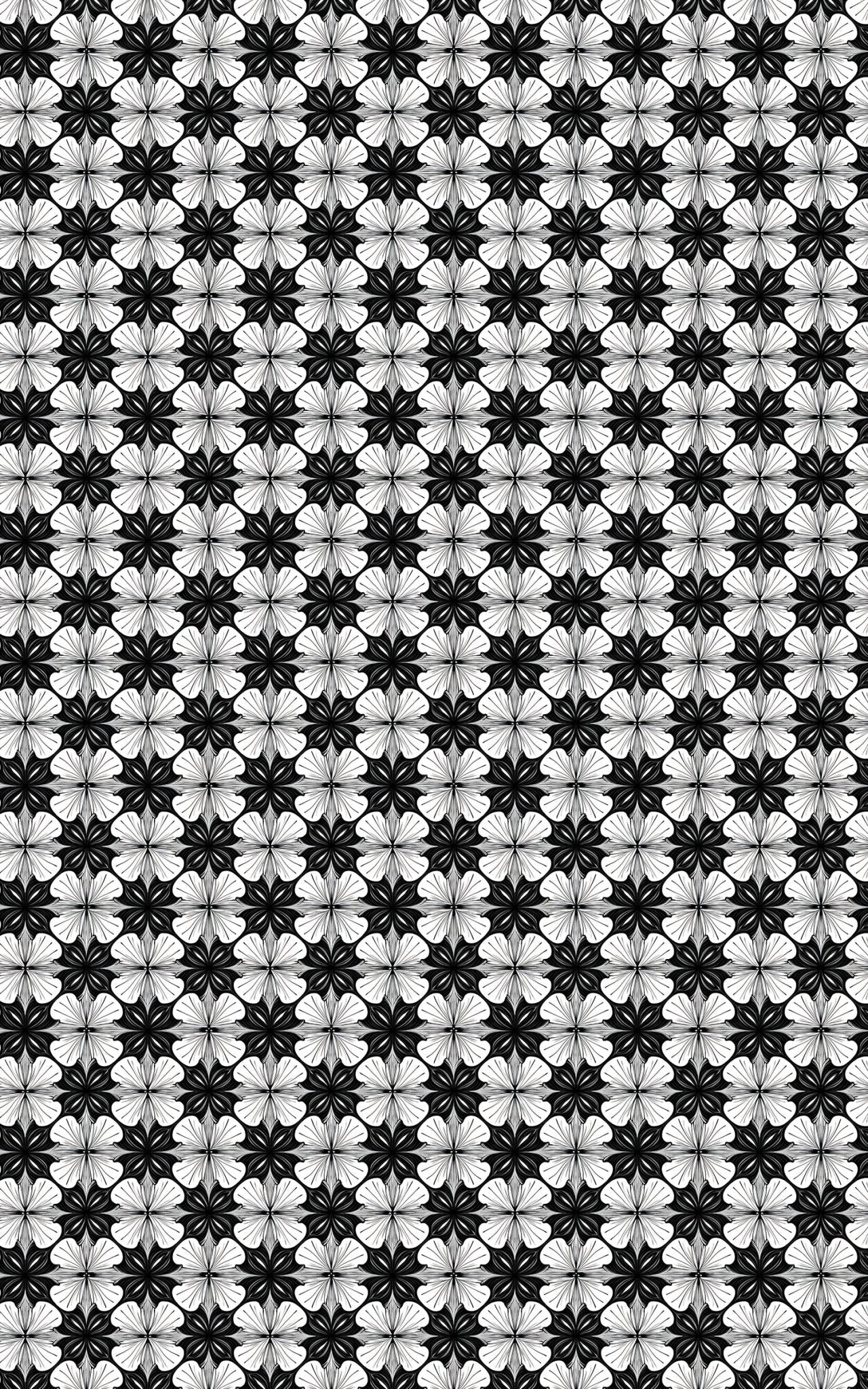 Shape Symphony
