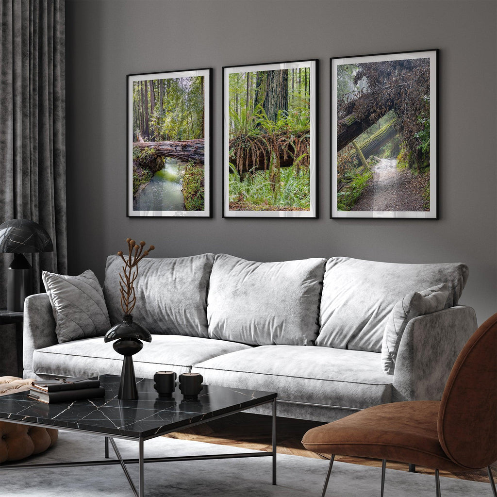 Redwoods Set