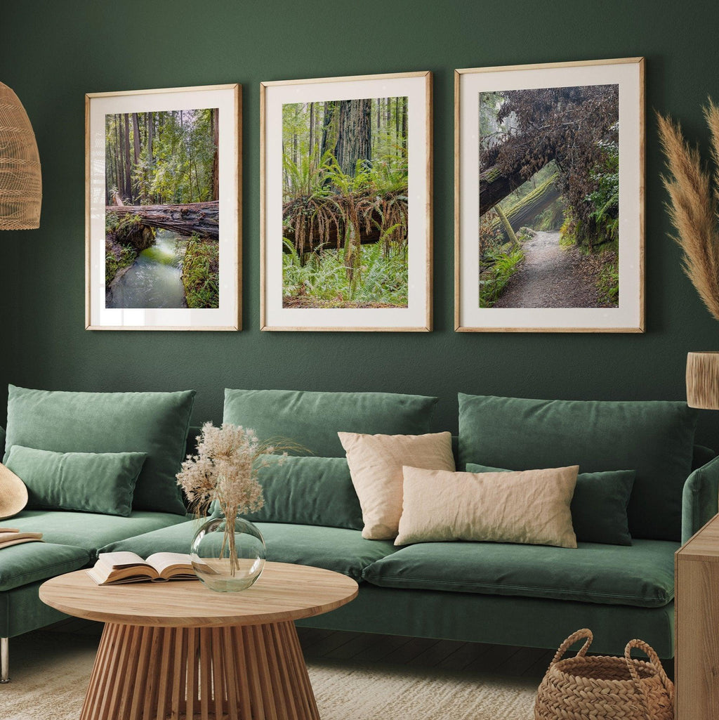 Redwoods Set