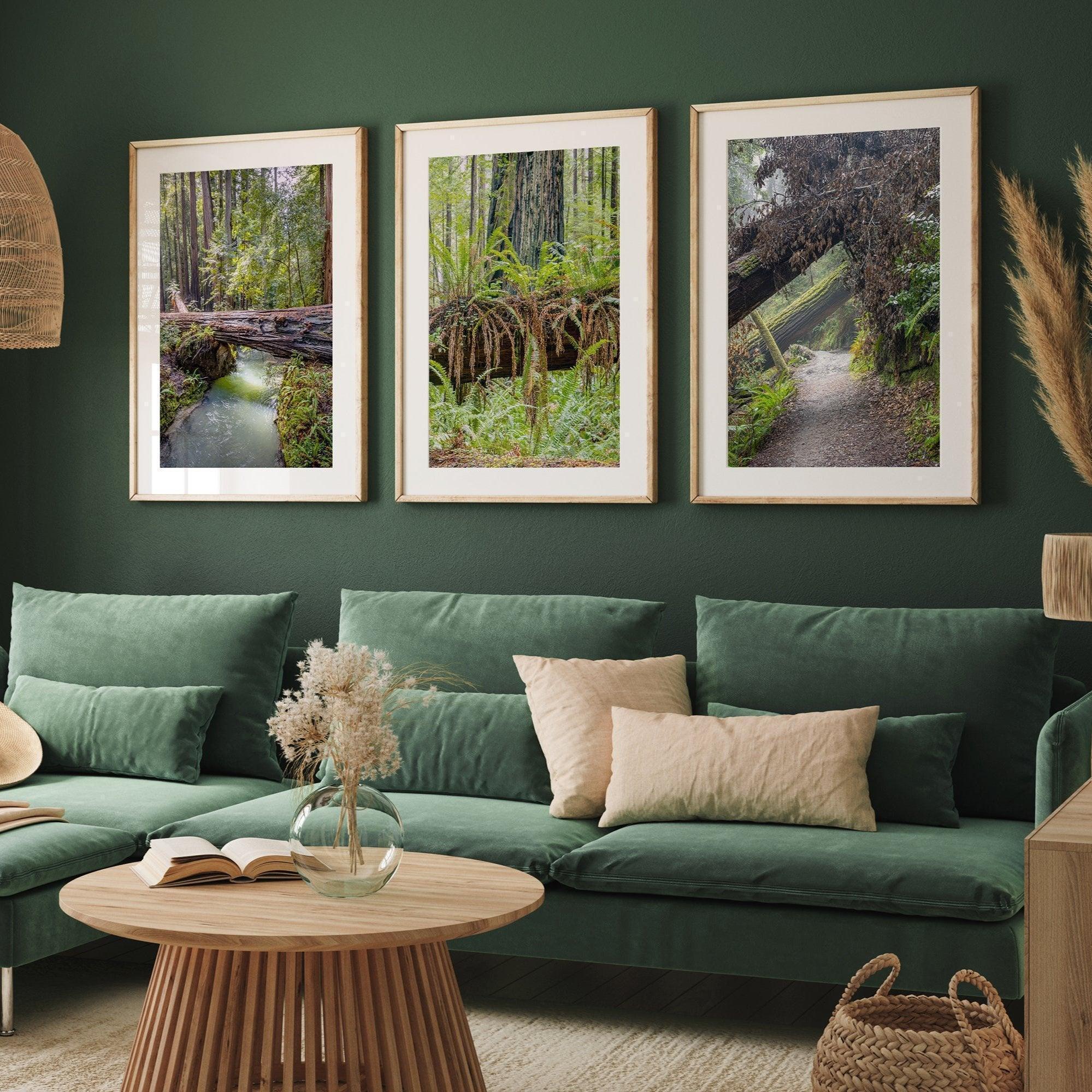 Redwoods Set