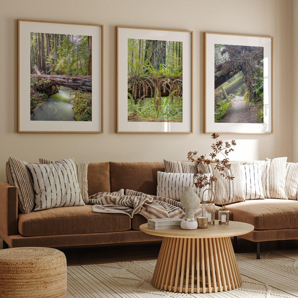 Redwoods Set