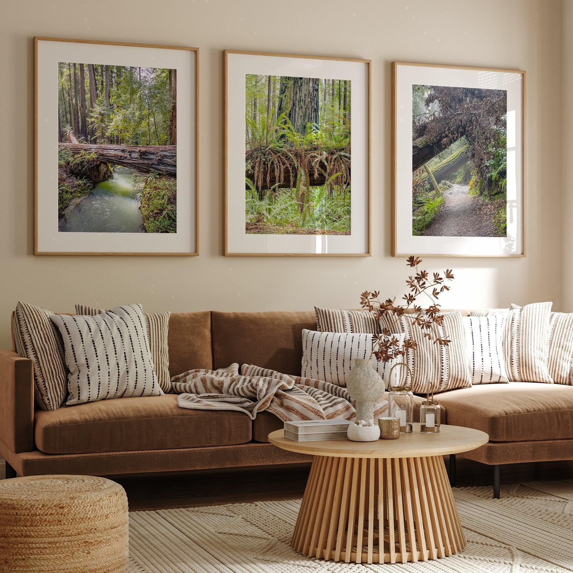 Redwoods Set