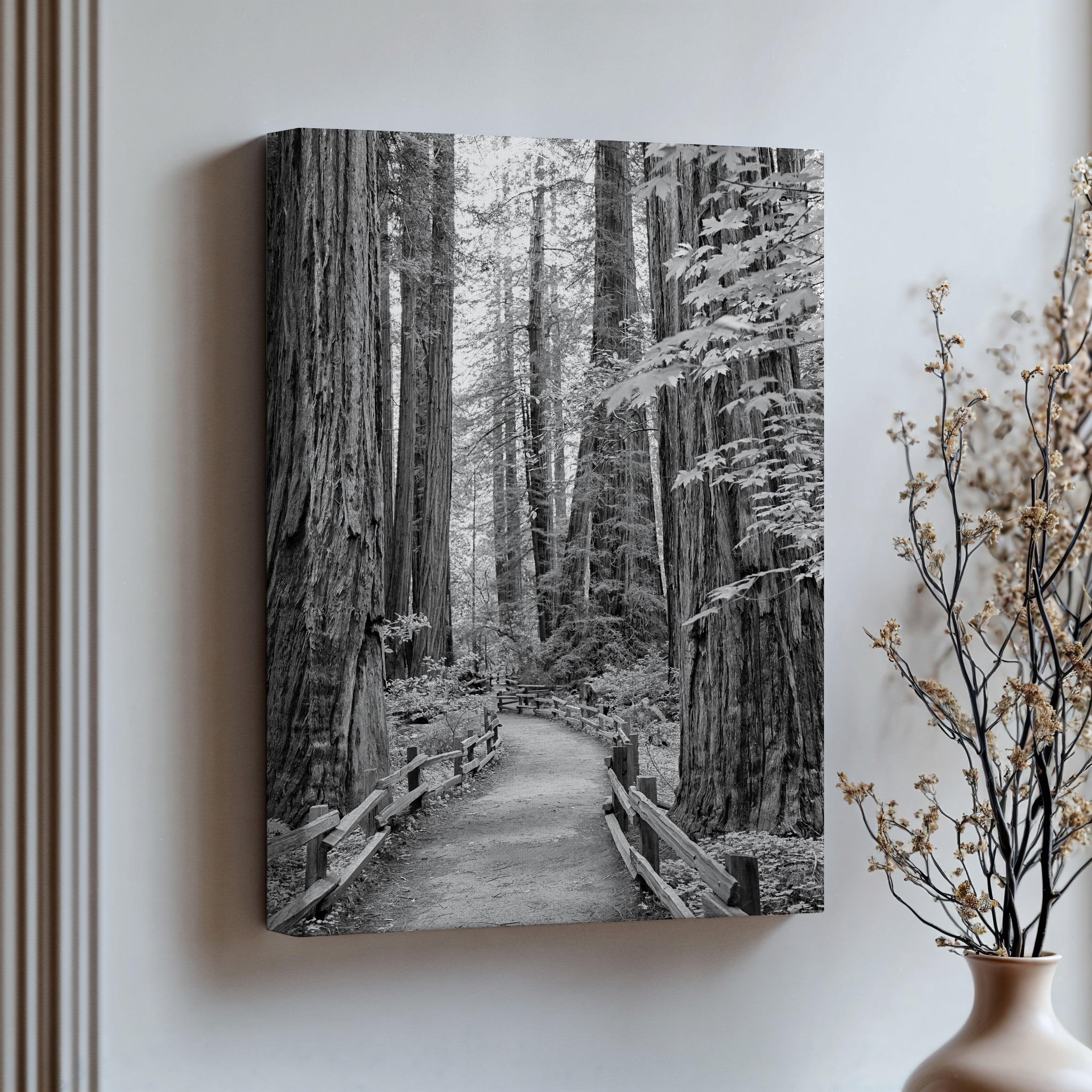 Redwood Pathway