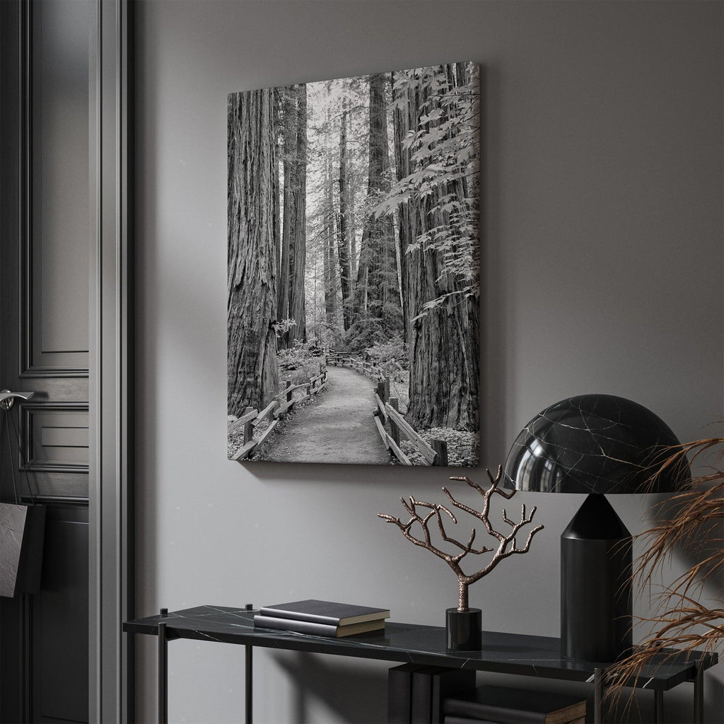 Redwood Pathway