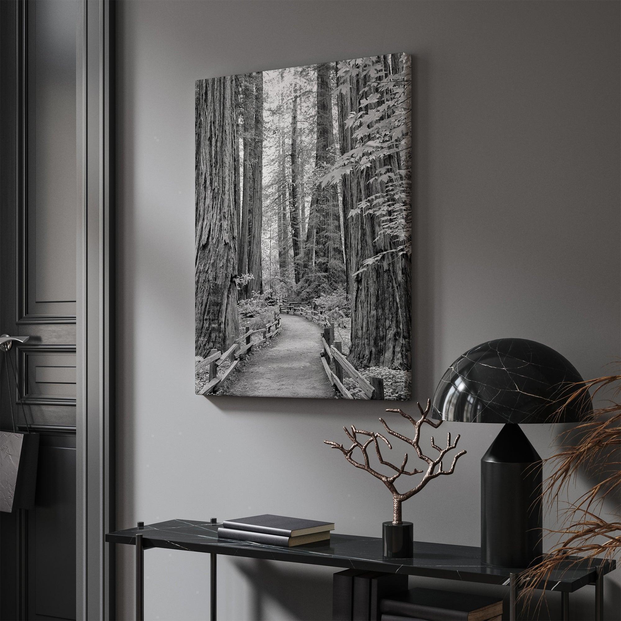 Redwood Pathway