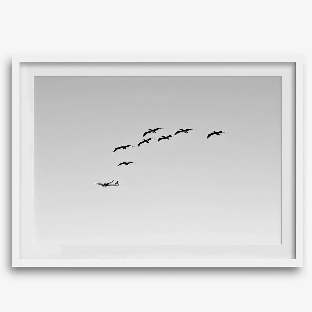 Friendly Skies